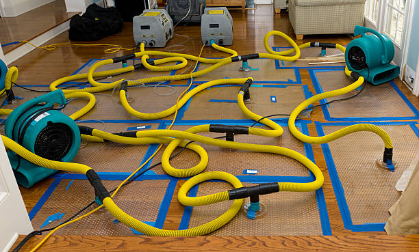Professional Burst Pipe Water Damage technician working in Temecula, CA